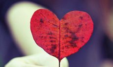 公司派发小暑节气问候短信给予员工关心的远程温暖与心照不宣的鼓励与支持