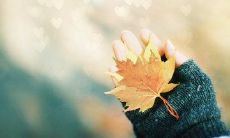 从名人名言到文学名篇：品读留存于万千心底的关于亲情的经典句子