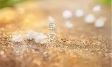 与女友分享早晨暖心情话，让你们的爱情更加甜蜜温馨