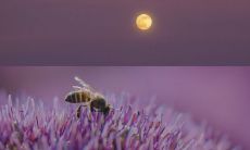 365天每天都能让你笑开颜的愉悦语句合集