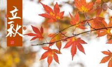 人生感悟：立秋时节倾诉内心，说说心情短语