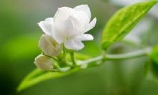 富有创意的长标题：严重缺乏兴趣和动力，使我处于无所事事的状态，导致心烦意乱和不满的感受