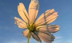 一览无余！体验微信8.0全新改进的状态文案图片功能，让您更轻松地表达心情和展现个性！