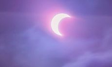 如何创造一个令人难忘的个性句子并引起人们的注意？