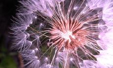 在这个忙碌的现代社会中，我们必须时刻铭记亲情的重要性！