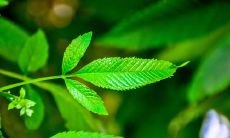 一个充满欢声笑语、幸福喜悦的家庭出游日子