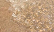 寒冷的冬日，发问候短信暖暖你心