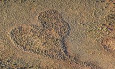 令人感到失望和心寒的句子，打击着个人的情感和信任，让其意志和精神陷入低谷