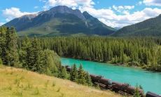 令人深感懊悔和悲痛的表达方式