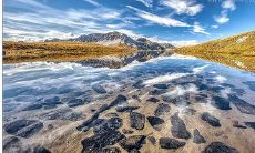 客人进店后通过短信向商家致问候及打招呼的行为的描述