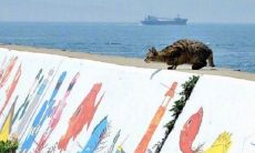 祈愿我的宝宝拥有愉悦幸福的一生