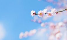 和爱人唠叨的甜蜜早安语，让人心驰神往