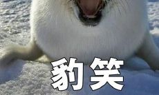 一系列令人欢笑的语句，旨在让人感到快乐和愉悦！