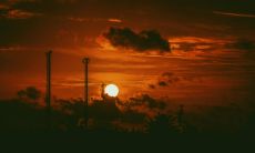 一篇关于爱情的不可错过的经典句子汇总