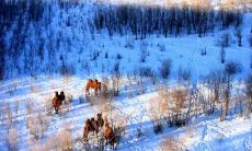 以疯疯癫癫的心情表达的愉快的句子