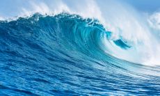 一份包含丰富问候内容的早晨短信合集，以供亲友向彼此表达心意与关怀