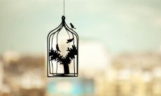 纯净而温暖、令人感动的唯美诗句，宛如如诗如画的情景，令人揪心的美感体验！