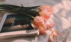 让您一眼就感动心弦的搞笑或励志的句子，快来感受一下！