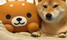 寻找快乐的秘诀：探究人们认为最重要的句子是什么？