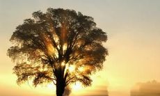 在假日中与儿子共度欢乐时光的让人感觉幸福快乐的表达句子