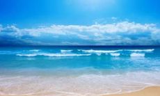 精选祝福儿童节开心的小句子，带给孩子们幸福和快乐的节日情感