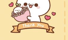 一个男人对女人深深感恩的话语，表达真挚情感与内心感悟