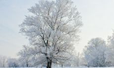 一系列用于形容冬季寒冷的描述性句子