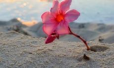 七年的不离不弃，感恩之心永不曲折的友情诠释