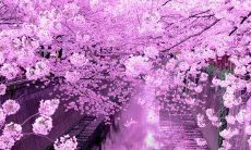 参考答案：用微博分享友情的句子，感人至深且意义非凡