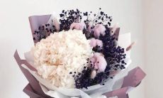 探讨友情和爱情的相似与差异，并以句子为主题进行的班会活动