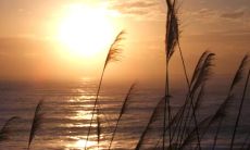 十二句让您欢喜振奋的句子，让心情愉悦、充满动力的秘诀