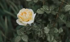 沐浴着冬日阳光的温暖，欢快出发！回忆无穷的寒假万里行：我度过的令人开心不已的时光