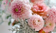 友情之旅：当友情到了终点站的告别之言