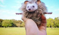 悠长别离，友情深挚，依依不舍的优美句子