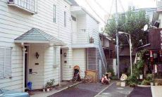 友情不能草率对待，需要日积月累的经营和维护才能长存