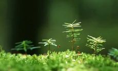 20个用于美甲发朋友圈的令人惊叹的句子，让你的社交媒体燃起来！