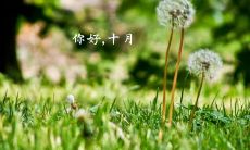 拥抱十月、更好地照顾自己：让我们共同探讨如何在这个月中更好地诉说我们的心声、思考自我成长与寻求内在平衡的话语和表达方式