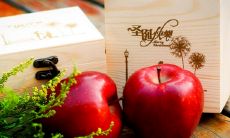 一起来分享平安夜和圣诞节的传统和创意祝福语，让节日更有意义和温暖！