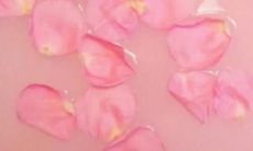 探寻季节之美：经典唯美开心句子尽在其中