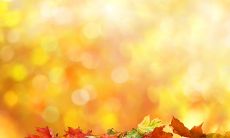 离别前的告别，带着深情的珍重祝福