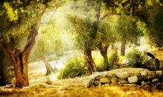 掩不住内心疲惫的表情：一组带有强烈情感的短语和图片