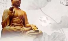 透过一句佛语洞悉生命之美妙无比及其深刻内涵的哲理智慧与觉醒体悟