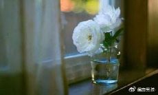 深切感触让人心碎的深刻句子