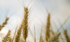 一句简短而深刻的人生箴言，散发着纯净的情感力量