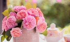 经历美妙旅程，尽情留存快乐回忆的愉悦之语