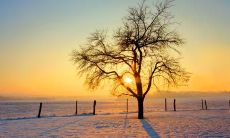 如何用积极阳光的语言激励不开心的人度过难关？