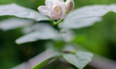 令人心碎的伤感爱情对话句子，让你沉浸在爱情悲伤的情感世界中