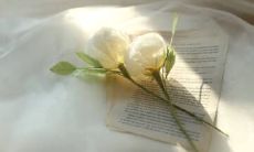 哪些高级文案适合用在朋友圈上发表？