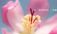 随着惊蛰节气的到来，送上最温馨的祝福语，祝愿你度过一个愉快的春季！