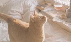 如何写出真挚而清新的简短表述？